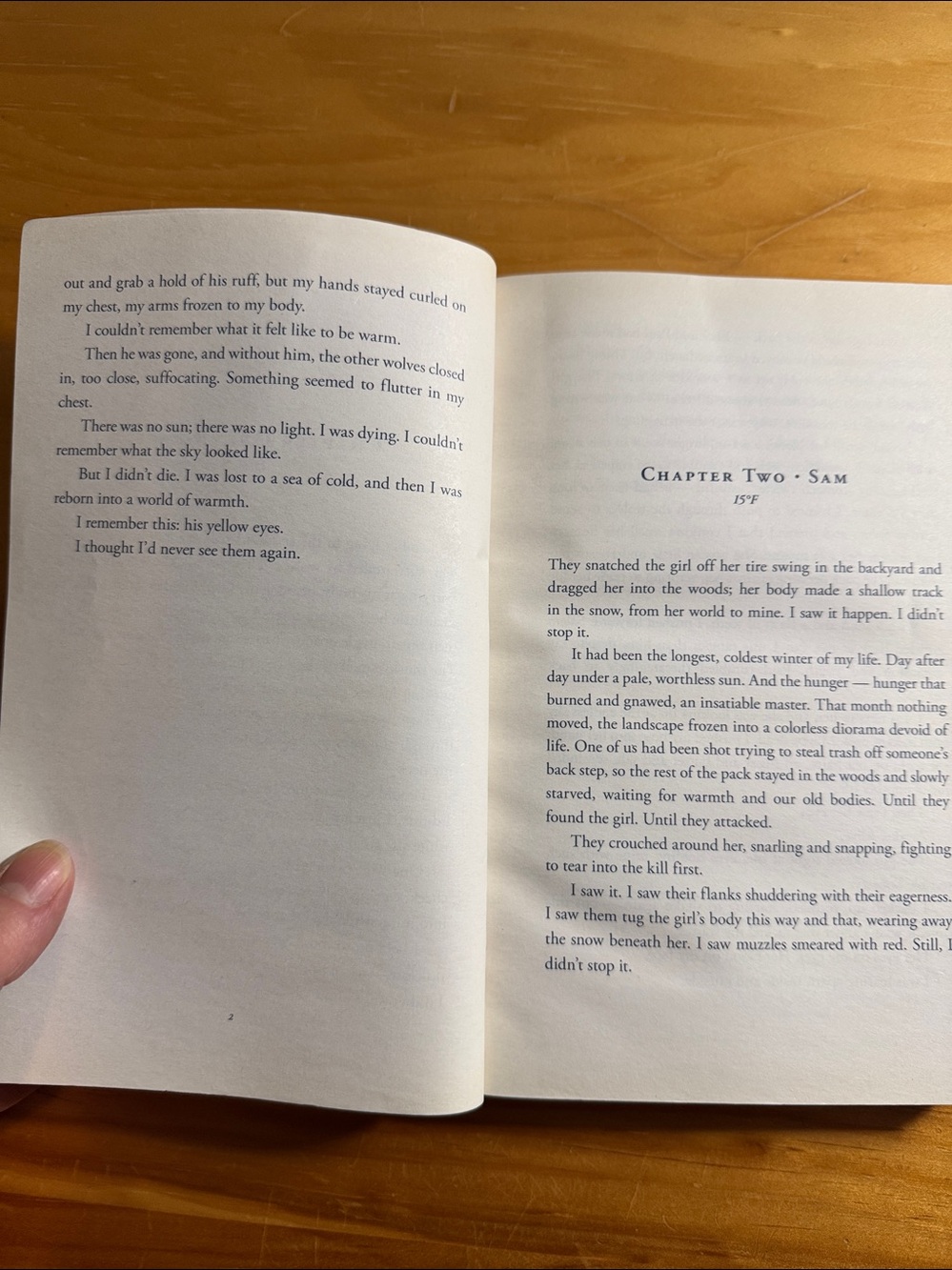 📚2/$6 Shiver #1 in The Wolves of Mercy Falls Series - Picture 9 of 12